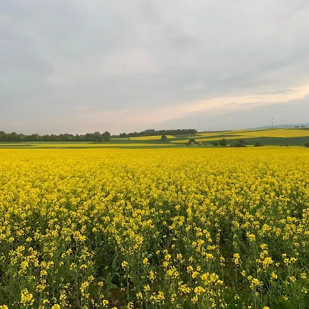 Feldquartier Apartamento