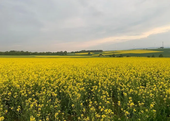 Feldquartier Lägenhet