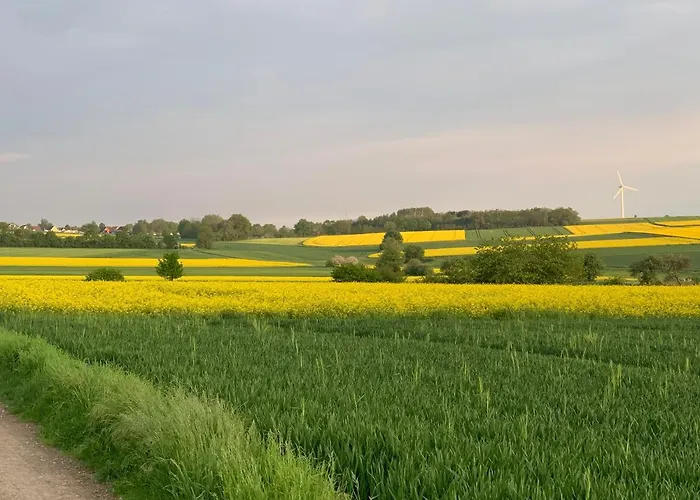 Apartment Feldquartier *